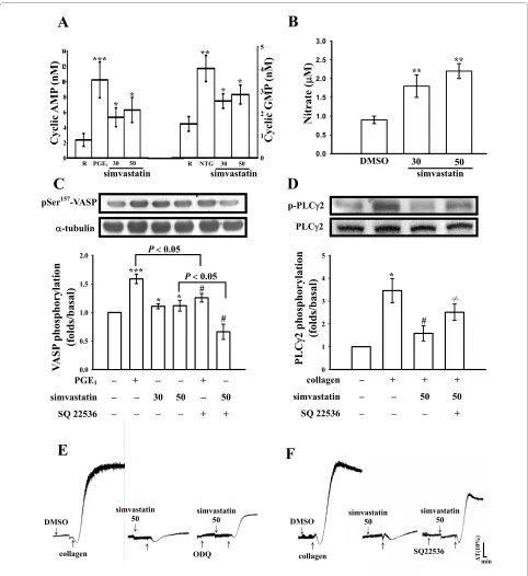 Figure 4 Effects of simvastatin on (A) cyclic nucleotides (B) nitrate formations, (C) SerCγ2 phosphorylations as described in "Methods"