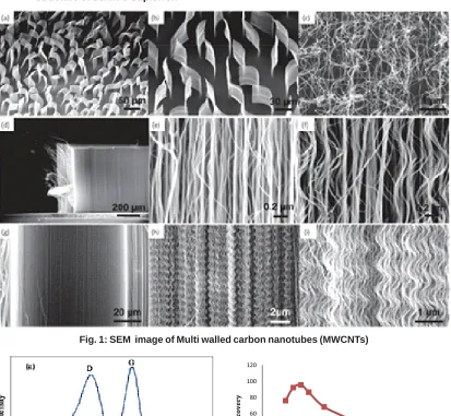 Fig. 1: SEM  image of Multi walled carbon nanotubes (MWCNTs)