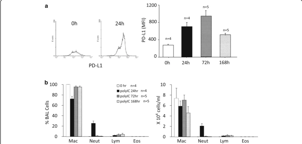 Fig. 1 Poly I:C-induced upregulations of PD-L1 on BEAS-2B cells were suppressed by low-concentration of CIC plus IND, but not by either whenadministered independently
