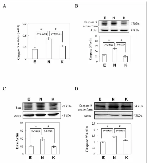 Figure 2 Presence of apoptosis in COS-7 cells transfected with pEGFP, pEGFP-NS1 and pEGFP-NS1K334Eence of activated caspase-3, (C) Bax and (D) activated caspase-9 were detected by ELISA or Immunoblottings