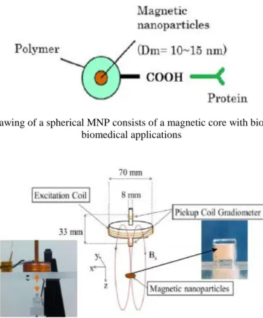 Figure 1. Schematic drawing of a spherical MNP consists of a magnetic core with biocompatible coating for  biomedical applications 