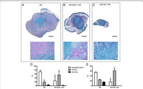 Fig. 3 Morphometric analysis of tumor xenografts. Sections from PC9T790M xenografts treated with osi (a), osi + pem → osi (b) or osi + cis → osi(c) stained by Masson’s Trichrome to distinguish the fibrotic tissue (greenish) from neoplastic cells (purple)