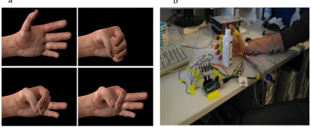 Figure 4: EMG recording paradigm. (a) Different hand gesture renderings prompting subjects