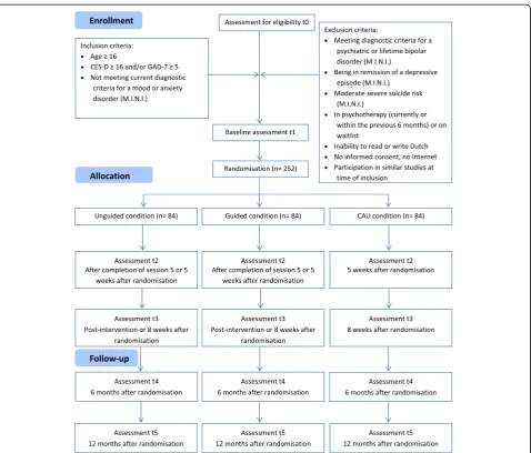 Fig. 1 Study flowchart