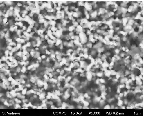 Figure 2.  SEM image of the LSCTA- ‘backbone’ microstructure that resulted from screen printing of a 75 wt