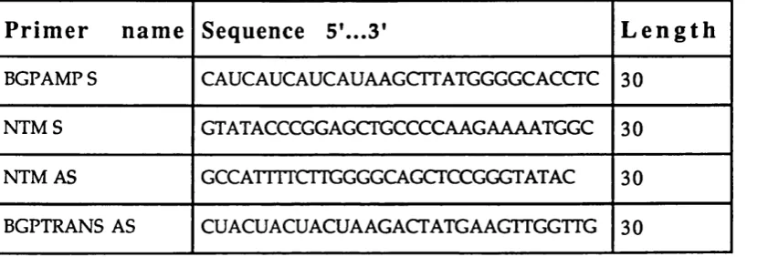 TABLE 2.2 LIST OF PRIMERS USED IN THE PRODUCTION OF THE BGPX* 