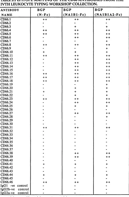 TABLE 3.1 EPITOPE MAPPING OF THE CD66 ANTIBODIES FROM THE 