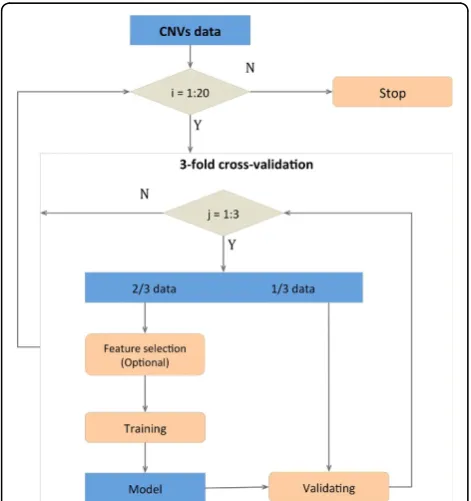 Figure 1 Cross-validation strategy.three equal subsets, each with the same propotion of ASD and controlsubjects