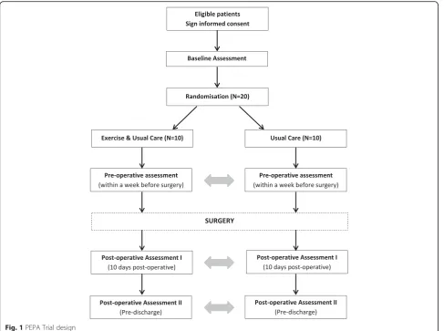 Fig. 1 PEPA Trial design