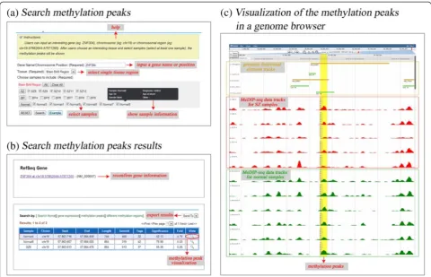 Figure 2 The view of DNA methylation peaks across samples. (a) The Search page allows the user to search the DNA methylation of specificgene across samples
