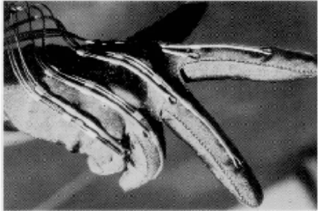 Fig 1.2 VPL data glove [11] 