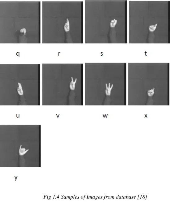 Fig 1.4 Samples of Images from database [18] 