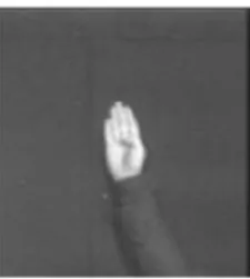 Fig 2.3 Segmentation of gray scale gesture image of gesture “b” 