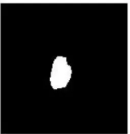 Fig 2.7 Morphological Filtered Gesture “c”and “d”  