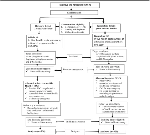 Fig. 1 Consolidated Standards of Reporting Trials (CONSORT) Diagram of study design. This figure depicts sampling method and allocation ofstudy units, assessment of eligibility criteria to include study participants