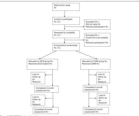 Figure 1 CONSORT flow for pilot trial.