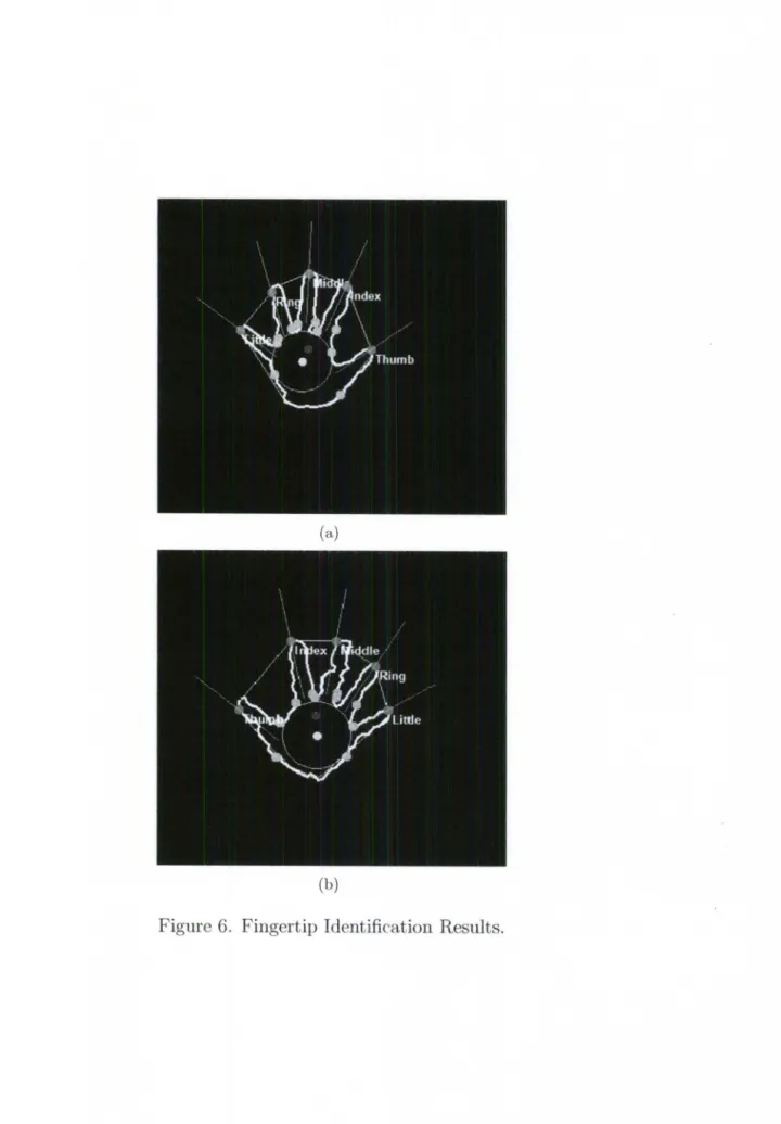 Figure  6.  Fingertip  Identification  Results. 