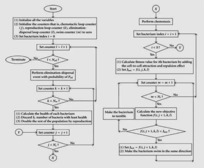 Figure 1.3: Flow Chart of BFO Algorithm 