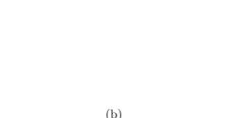Figure 1: (a) A dyadic subdivision of C2, and the corresponding pattern in the unit square
