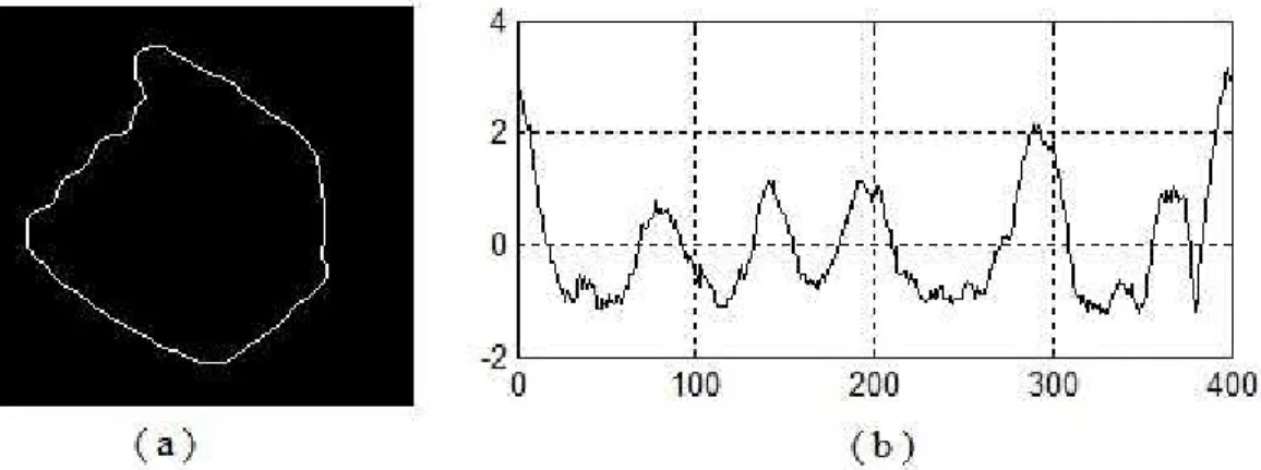 Figure 2.5: Detected edge and the normalized LCS features of a preprocessed static hand gesture image