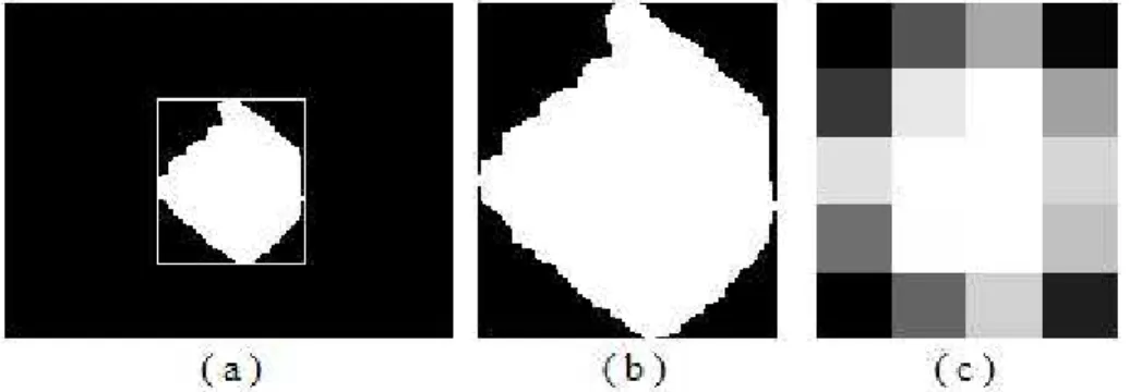 Figure 2.6: Artwork of block-based feature extraction technique: (a) hand gesture within bounding box, (b) cropped bounding box region and (c) 5 × 4 block partition.