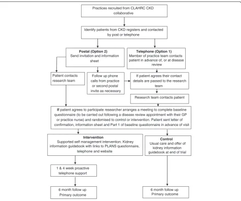 Figure 2 BRinging Information and Guided Help Together (BRIGHT) trial recruitment flow chart.