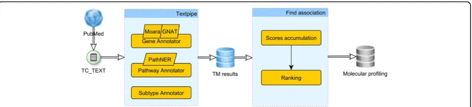 Figure 2 The pipeline to generate the molecular profiling of thyroid cancer subtypes. The pipeline starts with corpus construction, whichis followed by text mining annotators implemented within the TextPipe framework