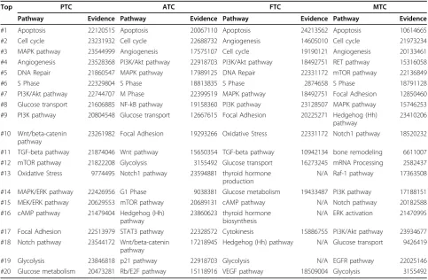 Table 8 Reviewed TC related pathways and text-mined evidence for each subtype.