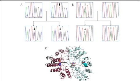 Figure 4 Sanger validation and structural modeling of the two compound heterozygous candidate variants in NAGLU in the familyquartet