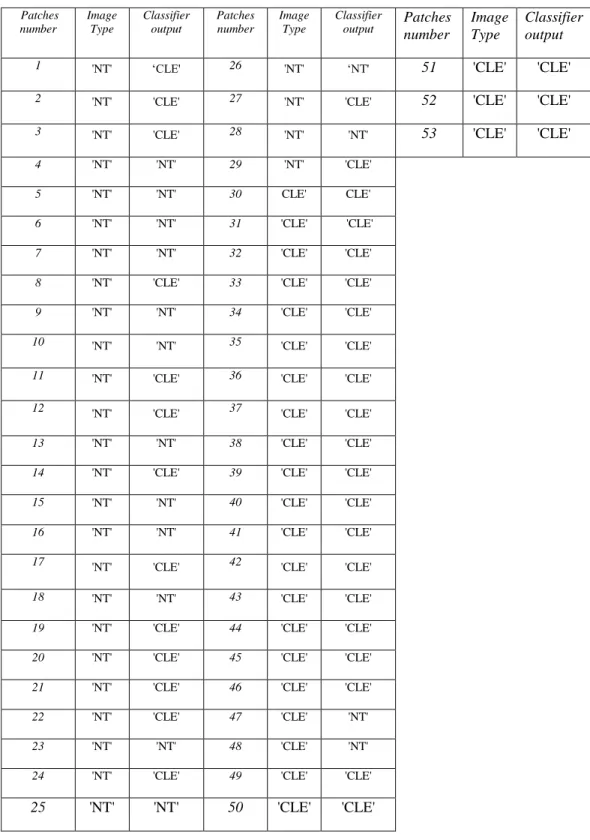 Table 2:  List of the results of LBP with emphysema database 