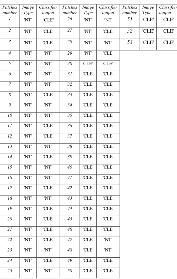 Table 3:- List of the results of CLBP with emphysema database 