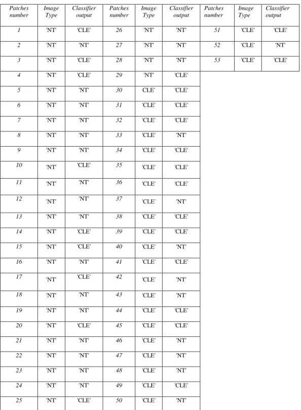 Table 4:- List of the results of LBPV with emphysema database 