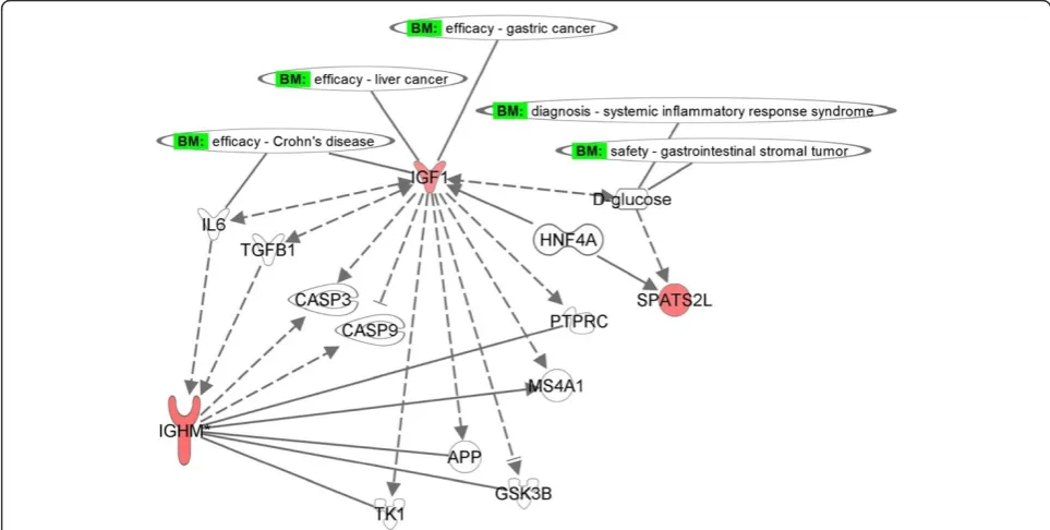 Figure 5 Molecular paths and interactions of the significant genes. Specific interactions for the genes IGF1, IGHM, and SPATS2L weregenerated from Ingenuity knowledge database related to gastrointestinal diseases