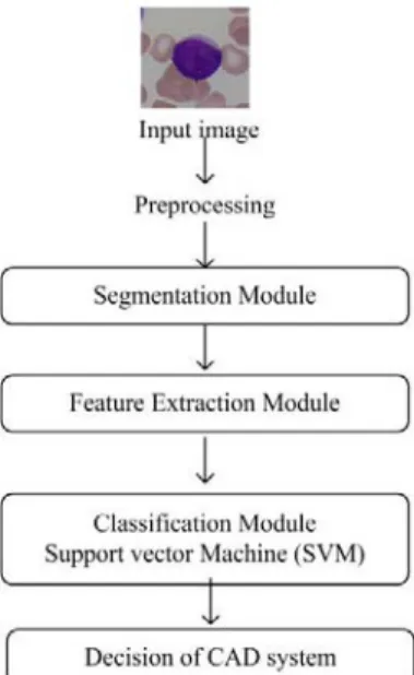 Figure 1: Proposed CAD system. 
