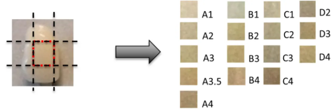 Figure 3. Images of color shade guide database at 40 x 40 pixel size