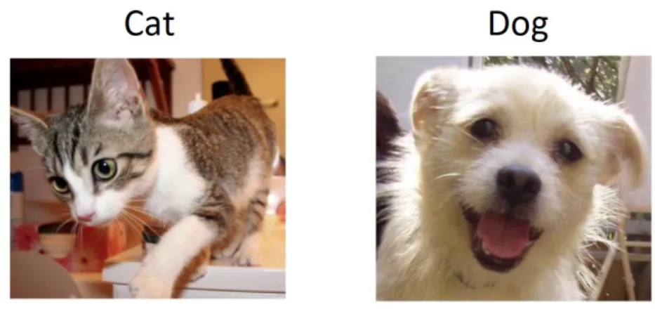 Figure 2.1: Example of images labeled with classes