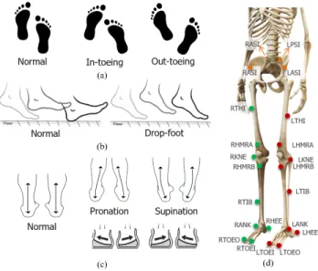 Fig. 2. Information fusion for human lower limb pose representation and 3D gait analysis in the canonical coordinate system