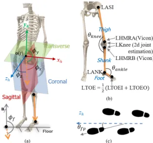 Fig. 4. Illustration of the human body coordinate system and various extracted joint angle features for abnormal gait recognition