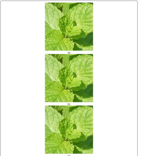 Figure 7 Results of compressing theand “Leaf” color image with the proposed compression scheme