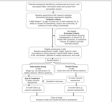 Figure 1 Flow chart.