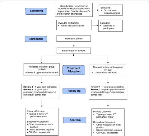 Figure 1 Screening, recruitment, randomization and participant follow-up schedule of the SIXES Trial.