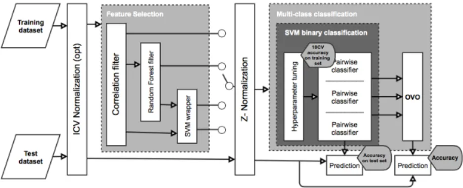 Fig. 1. Diagram of the adopted workflow based on a combination of feature selection techniques.