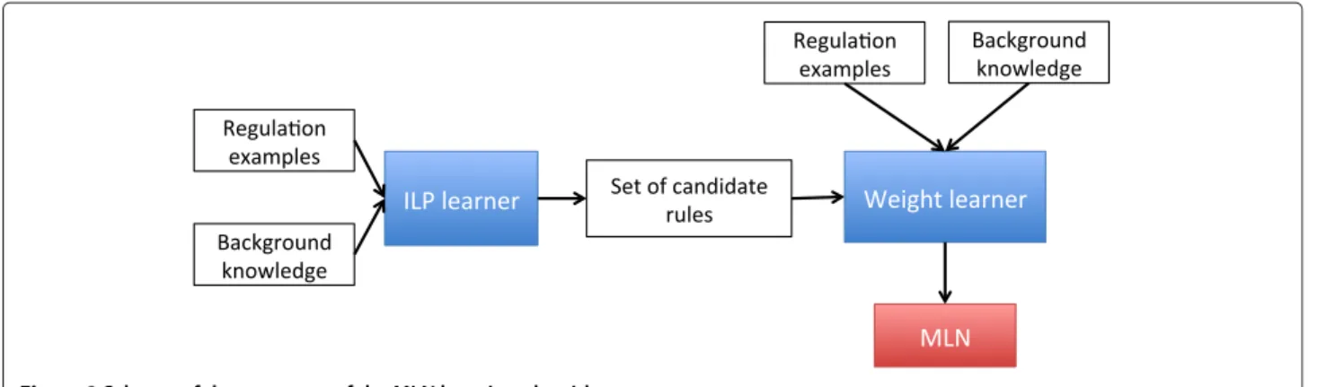 Figure 2 Schema of the two steps of the MLN learning algorithm.