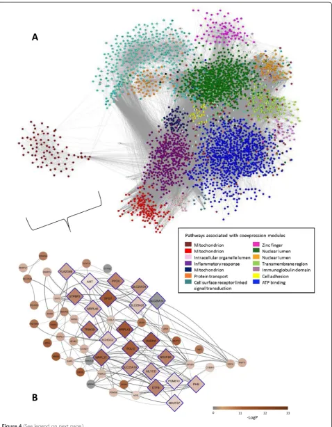 Figure 4 (See legend on next page.)