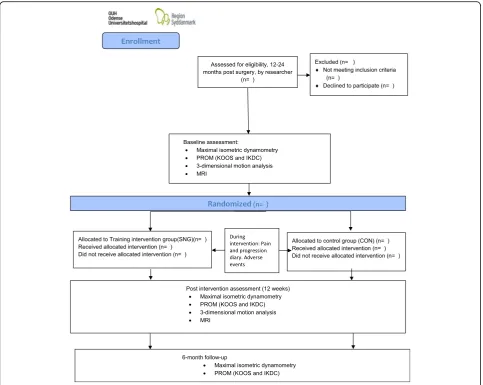 Fig. 2 Study flowchart. Participant flow through intervention period