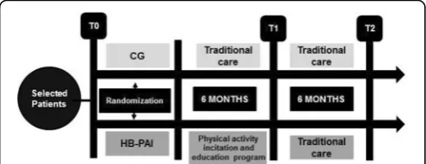 Fig. 1 Study flow chart. CG control group, HB-PAI home-based physicalactivity incentive group