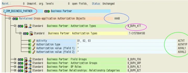 Figure 2.1: Screenshot of authorizations in the Profile Generator 