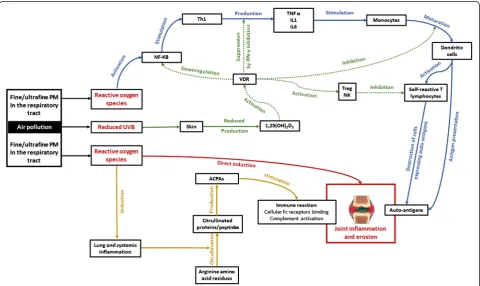 Fig. 1 Schematic representation of mechanisms putatively influencing rheumatoid arthritis through air pollution exposure