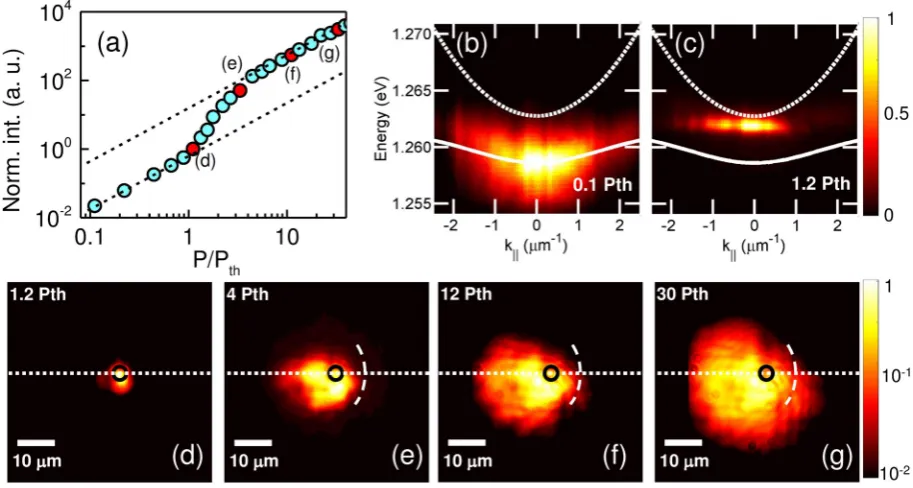 Figure 1. Distribution of polariton condensate in a time-integrated picture. (a) Power-dependent input-output characteristics of the polariton condensate emission