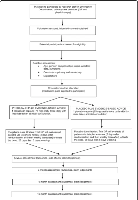 Fig. 1 Flow chart of study design
